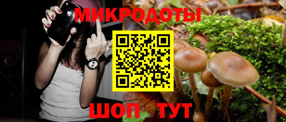 Кизилюрт  Псилоцибиновые грибы ЛСД  Вход с VPN 
