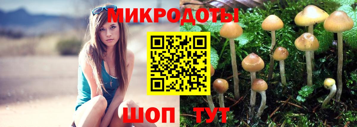 Псилоцибиновые грибы мицелий Кизилюрт